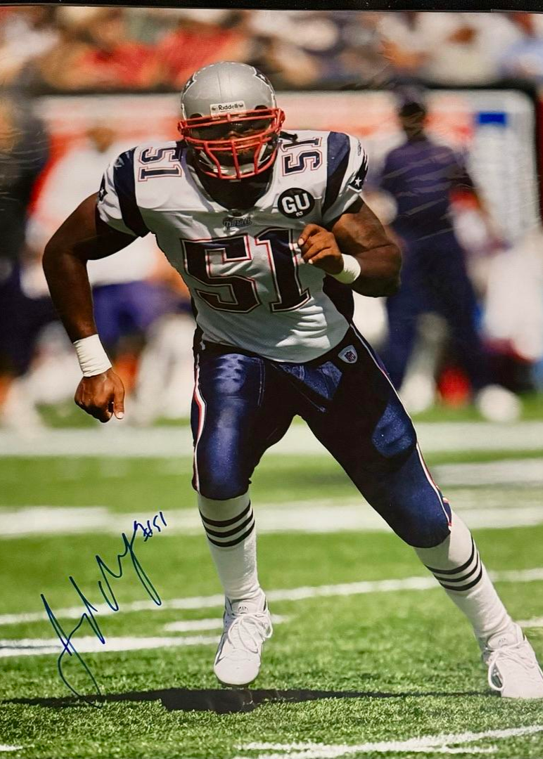 Jerod Mayo Signed 16x20 Photo New England Patriots - SureShot COA